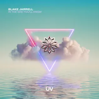 In the End You'll Know artwork